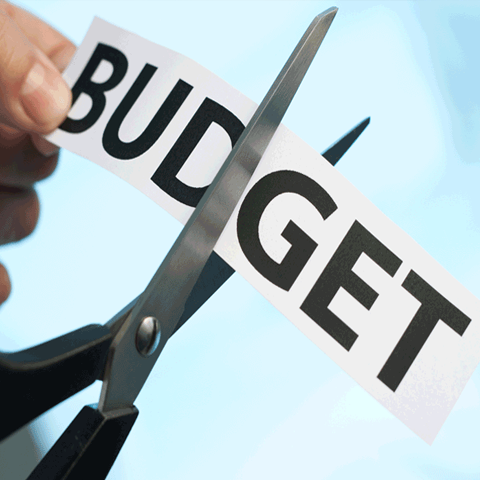 budgetcut-v1