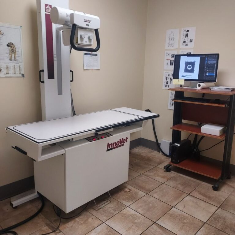 vet-clinic-x-ray-equipment-setup-mxr